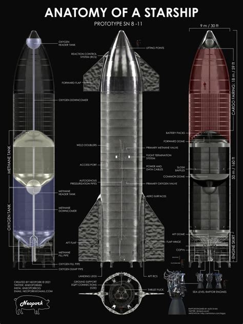 Anatomy Of A Spacex Starship Spacex Starship Spacex Space And