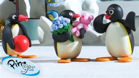 Green Eyed Pingu 🐧 Pingu Official Channel Cartoons For Kids Youtube