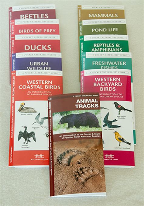 Pocket Naturalist® Laminated Field Guides Western Collection 11 Guides