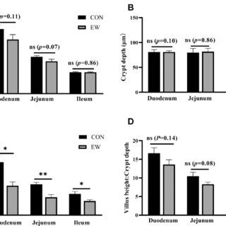 Effects Of Early Weaning On Small Intestine Morphometric Trait Of Three