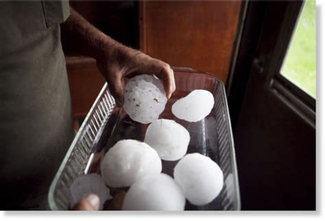 At Least 40 Sheep Killed By Giant Hailstones In Nisland South Dakota