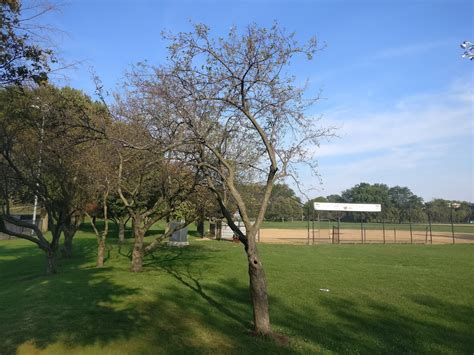 WARREN PARK ICE RINK - Chicago IL - Hours, Directions, Reviews - Loc8NearMe