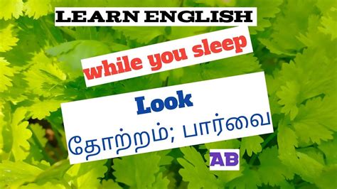 Look Word Sentence Learn Englishdaily Useful English Sentence In