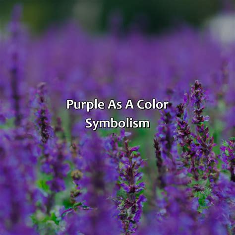 What Does The Color Purple Mean In A Dream Branding Mates