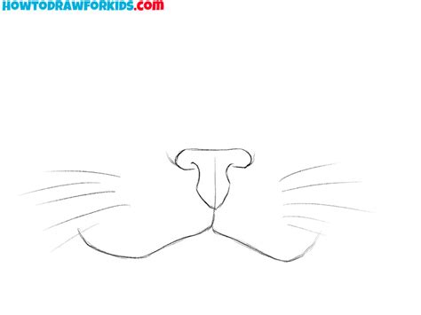 How To Draw Cat Nose