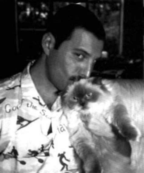 20 Pics Of Freddie Mercury And His Cats, That He Loved And Treated Like ...