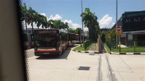 TIB1243S WL911 2018 Our SG Bus Story