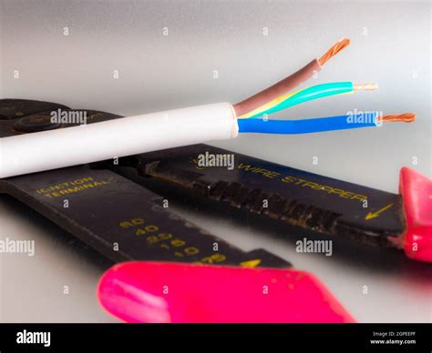 British electrical cable placed over a pair of wire strippers with the ...