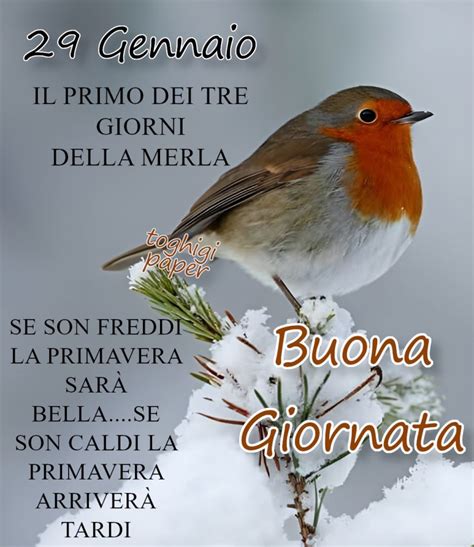 Gennaio Buongiorno Immagini Toghigipaper