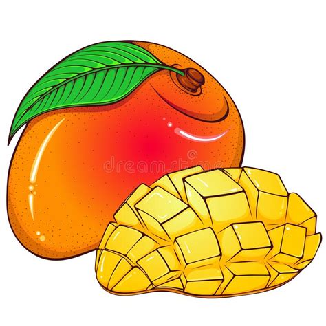 Whole And Sliced Mango Color Stock Vector Illustration Of Icon Plant