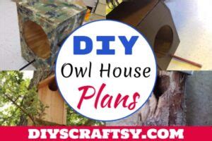 20 DIY Owl House Plans You Can Make Today - DIYsCraftsy