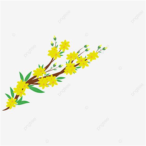 Hoa Mai Vector PNG Images, Hoa Mai Design On Unique, Hoa Mai Design On Natural And Unique, Hand ...