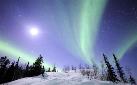 Aurora Borealis Live Wallpaper - WallpaperSafari