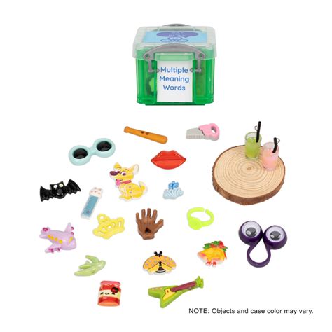 Say & Play Multiple Meaning Word Objects