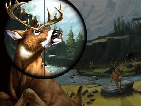 Deer Hunter - Play Free Online Hunting Games