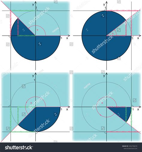 Trigonometric Circle Presentation Functions Sine Cosine Stock Vector