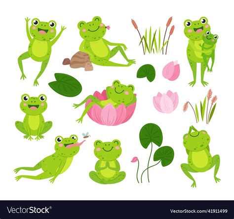 Cartoon Frogs Green Frog On Pond Hold Tadpole Vector Image