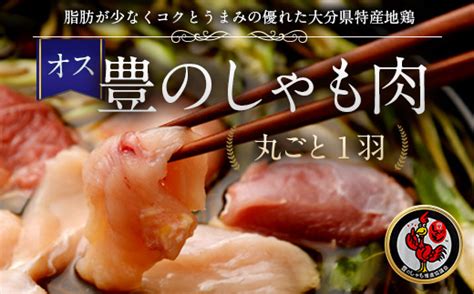 006 732 豊の しゃも肉 丸ごと1羽 オス ムネ モモ 手羽 ささみ 鶏皮 鶏ガラ 鶏肉 大分県豊後大野市｜ふるさとチョイス