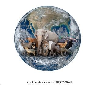 Earth Animals Images, Stock Photos & Vectors | Shutterstock