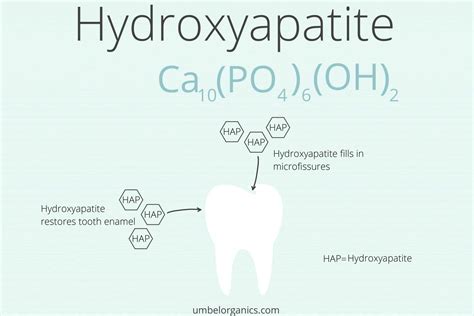 The Best Hydroxyapatite Toothpaste - Umbel Organics