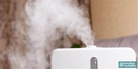 How Humidifiers Work And Their Uses Everything Humidifiers