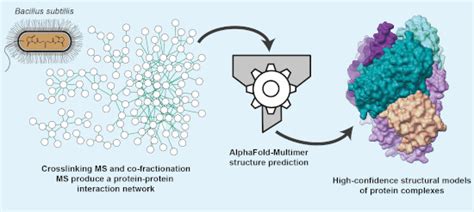 Mol Syst Biol On Twitter An Integrative Approach Using Crosslinking