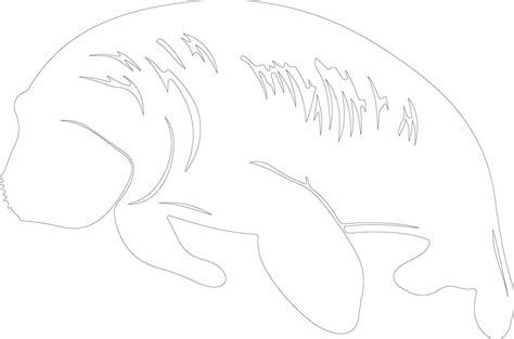 manatee outline silhouette 38494259 Vector Art at Vecteezy