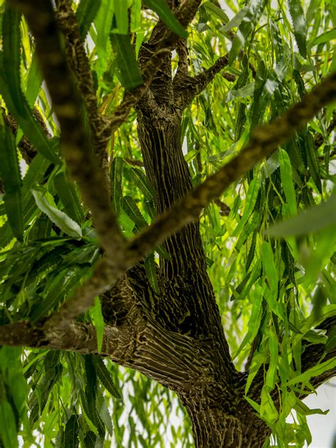 Продажа искусственных деревьев | Russia | OnlyTrees