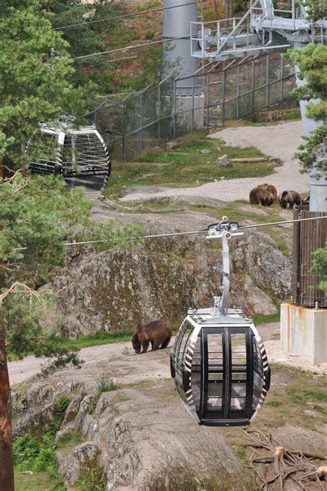 på Safari - Upplevelser i Kolmården