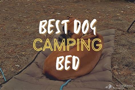 11 Greatest Canine Tenting Beds And Backpacking Canine Beds 2023 Nice