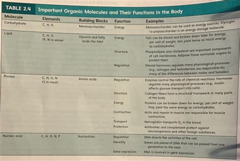 Ch Chemical Basis Of Life Flashcards Quizlet