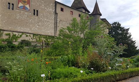 Suppe Zum Saisonende Schloss Kyburg