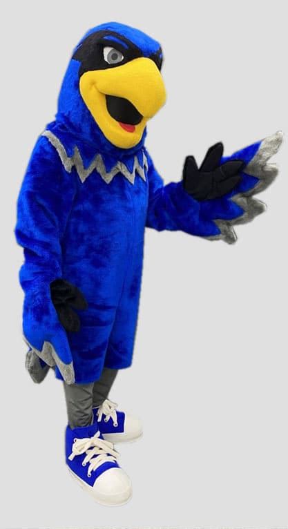 Hawk Mascot Costume