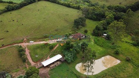 ESPETACULAR FAZENDINHA DE 15 HÁ PRODUÇÃO DE LEITE EM SANTOS DUMONT