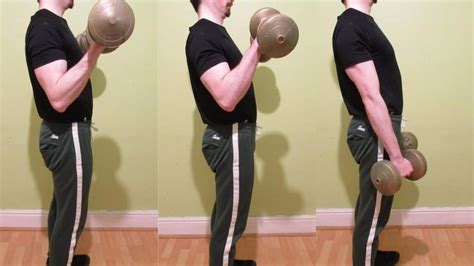 Zottman Curl Benefits (Standing Dumbbell Version)