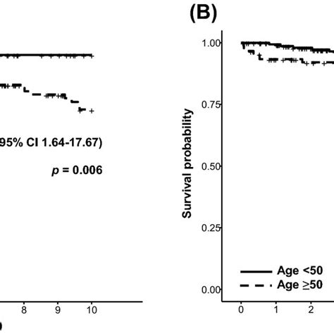 Kaplanmeier Curve Illustrating Survival Probability According To A