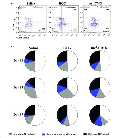 Nk Cells Subpopulations Induced By Mc Cmx And Bcg Vaccines In