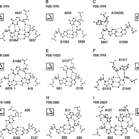 The Distribution Of Rna Tertiary Motifs In The Nonredundant Data Set Of