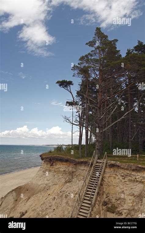 baltic sea coast  res stock photography  images alamy