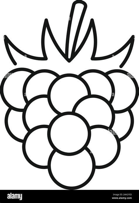 Fruit Raspberry Icon Outline Fruit Raspberry Vector Icon For Web