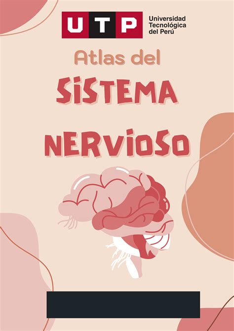 Atlas Bases Biologicas SISTEMA SISTEMA NERVIOSO NERVIOSO GIANELLA