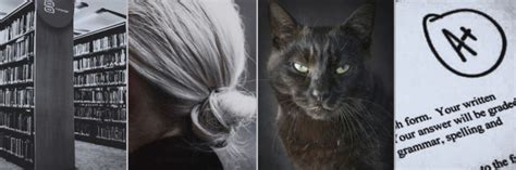 Real Talk These Classes Fuck You Up So Much On Tumblr