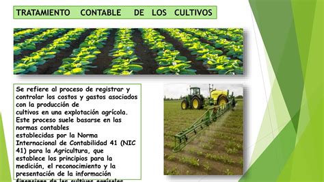 CONTABILIDAD AGROPECUARIA Pptx