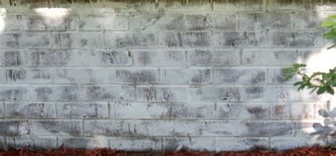 How To Whitewash Exterior Brick In Easy Steps White Wash Brick