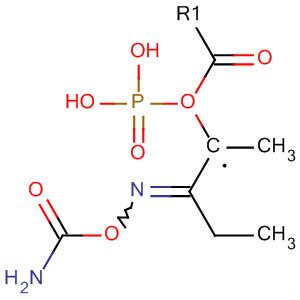 Phosphonic Acid Aminocarbonyl Oxy Imino Propyl