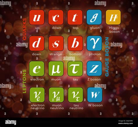 Diagrama Del Modelo Estándar Para Mostrar La Física De Las Partículas
