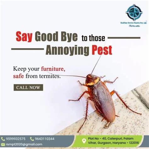 Cockroaches Management Service At Rs 1000 Per Service In Gurugram ID