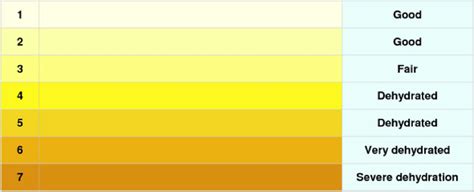 Why does the colour of urine vary from light to bright yellow when we ...