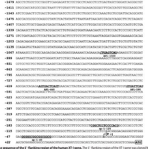 Figure 2 from Régulation de la synthèse des protéoglycanes et du