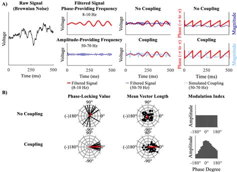 Simulation Of The Eeg Signal And Calculation Of Phase Amplitude